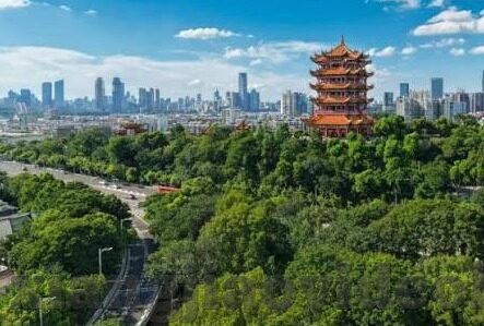 糖心直播app最新版下载-高效获取糖心直播app新版本的超实用教程